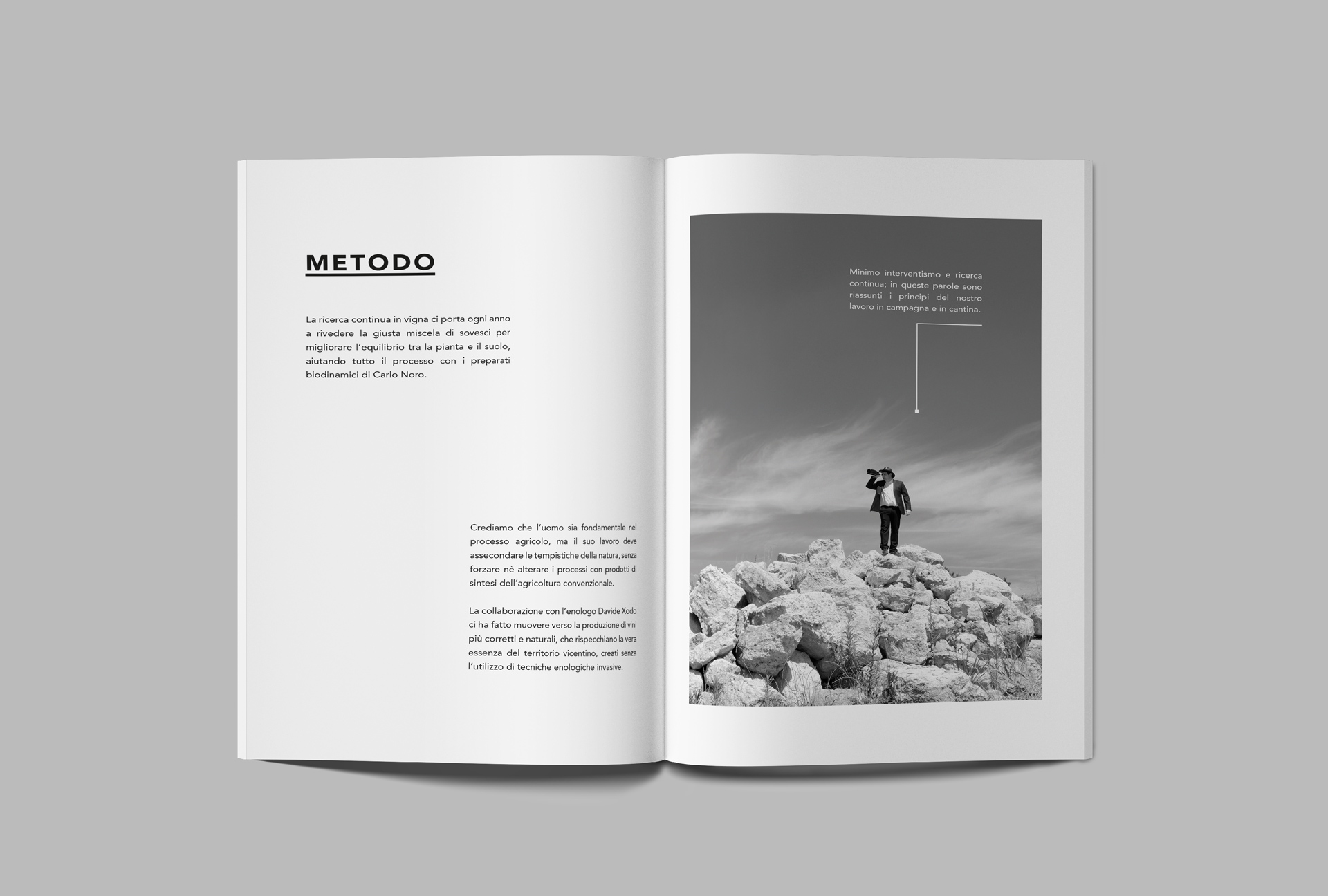 Zeroartdesign-Tenuta-L’Armonia_Brochure_02
